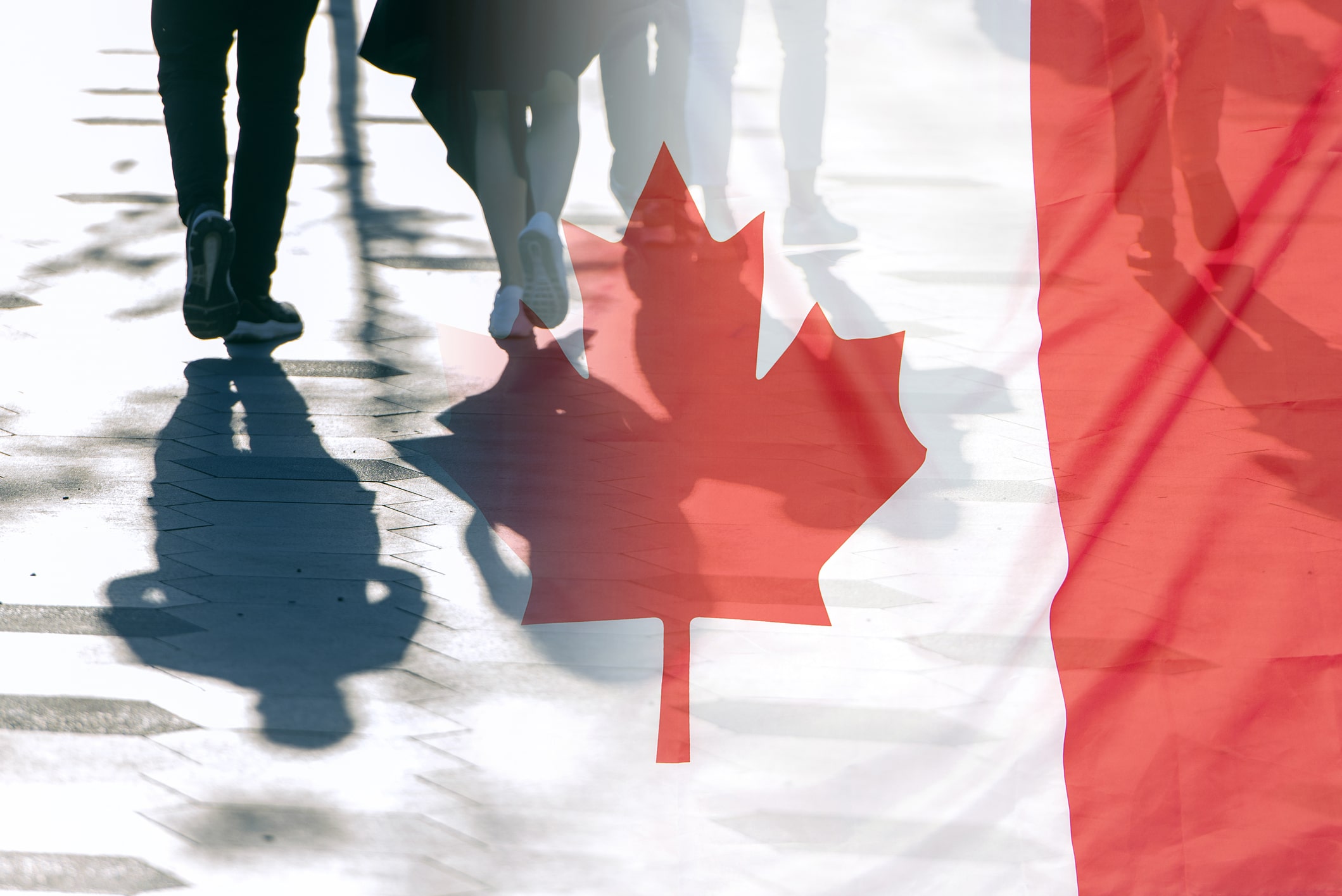 Study in Canada: Top 5 Public Universities for International Students